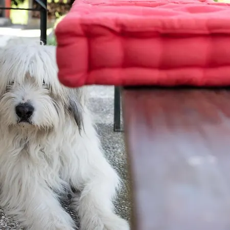 דירה Beautiful Tagliolo Tagliolo Monferrato