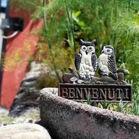 Beautiful Tagliolo Tagliolo Monferrato