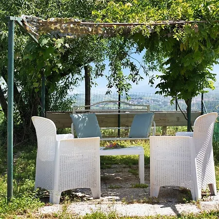 Beautiful Tagliolo *